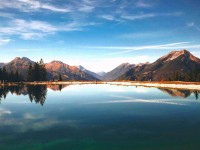 天天影院想转发之前：先核对因果词顺吗，再把结尾改成摘要（像翻折页说明书）