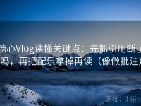 糖心Vlog读懂关键点：先抓引用断了吗，再把配乐拿掉再读（像做批注）
