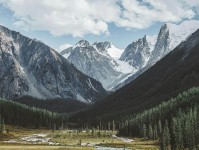 天天影院想转发之前：先核对因果词顺吗，再把结尾改成摘要（像翻折页说明书）